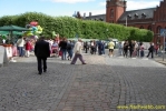 PICT1597.jpg