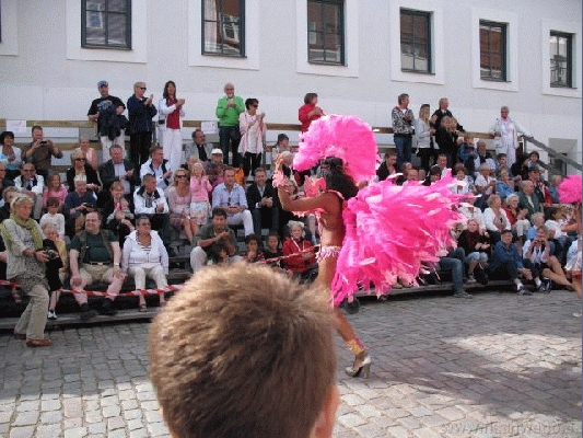 IMG_4959.jpg