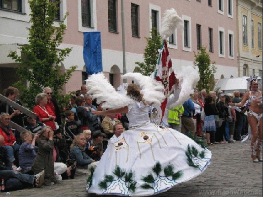 IMG_4995.jpg