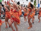 IMG_4993.jpg