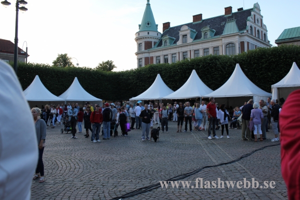 Karnevalen_20110716_108.JPG