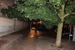 Karneval_20110715_091.JPG