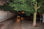 Karneval_20110715_092.JPG