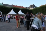 Karnevalen_20110716_107.JPG