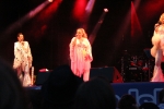 Karnevalen_20110716_166.JPG