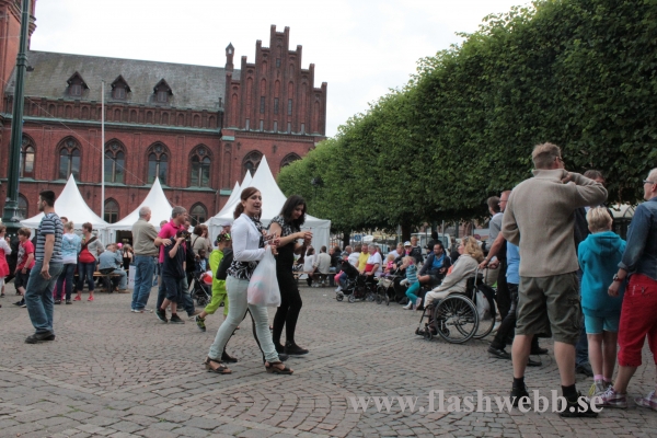 IMG_5242.JPG