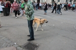 IMG_5225.JPG