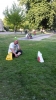 20130712_191516.jpg