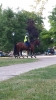 20130712_195910.jpg