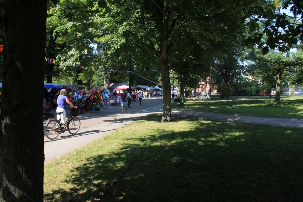 IMG_5855.JPG