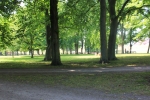 IMG_5874.JPG