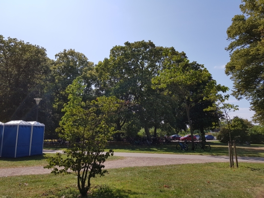 20190727_144454.jpg