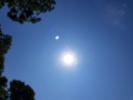 20190727_144457.jpg
