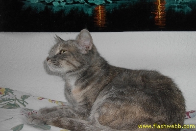PICT2436.jpg