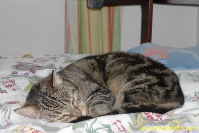 Olga
