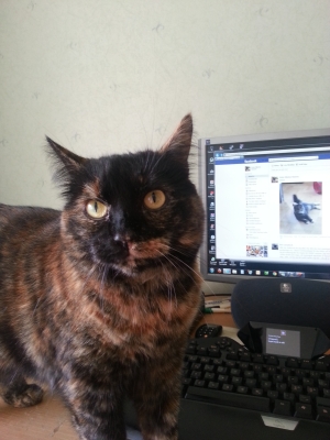 20120904_163142_Android.jpg