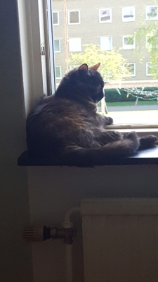 20160508_152805.jpg