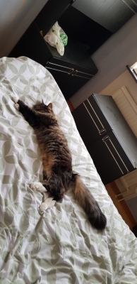 20180715_135141.jpg