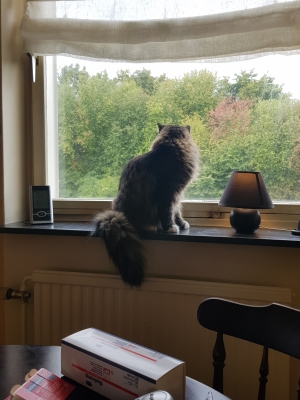 20180831_155452.jpg