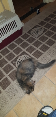 20181201_181846.jpg
