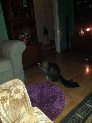 20181210_174806.jpg