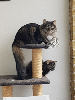20181223_121045.jpg