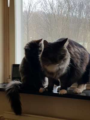 20190124_114905.jpg