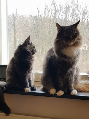 20190124_114919.jpg