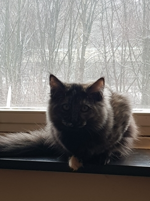 20190126_120659.jpg
