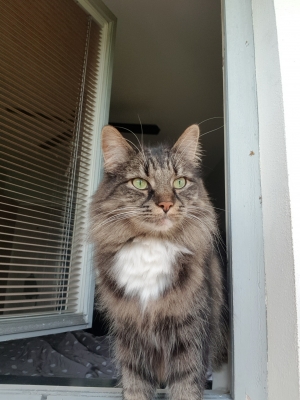 20190626_155407.jpg