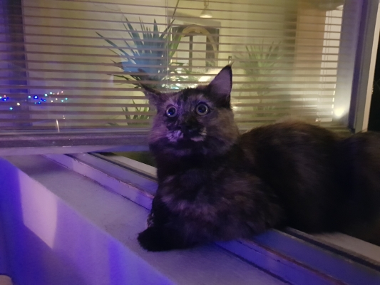 20190716_231258.jpg