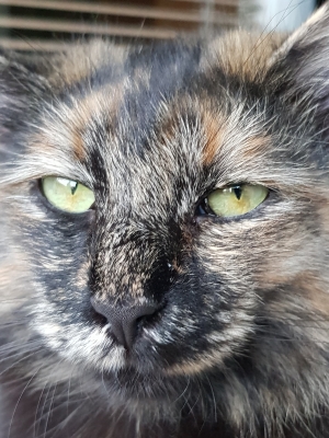 20190718_210723.jpg