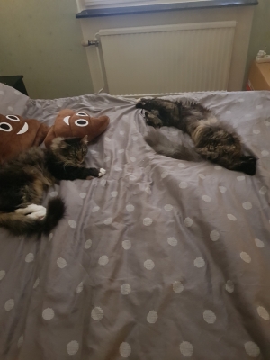 20190720_174553.jpg