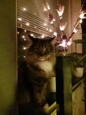 20191227_180726.jpg