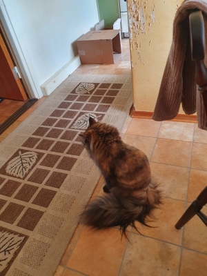 20220513_084713.jpg