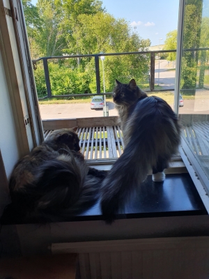 20230625_172808.jpg