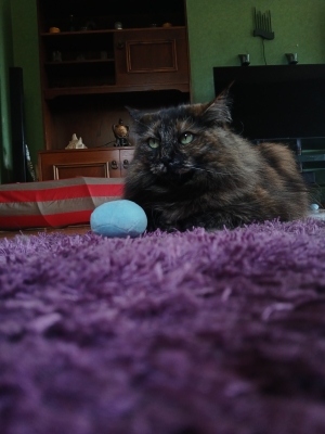 20250831_112031.jpg