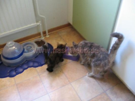 Phillipa and Wilma
