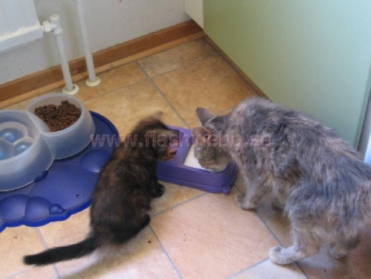 Phillipa and Wilma
