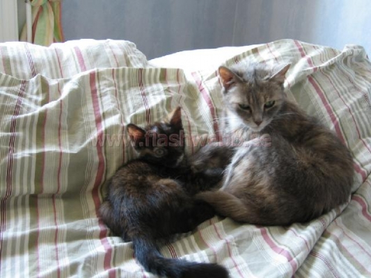 Phillipa and Wilma
