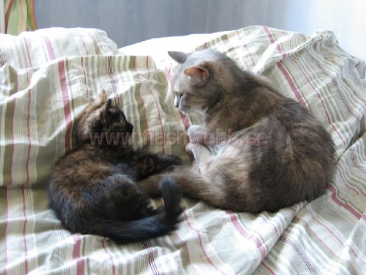 Phillipa and Wilma
