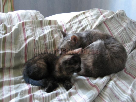 Phillipa and Wilma

