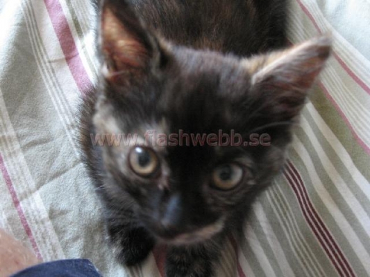 Wilma
