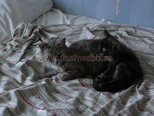 Phillipa and Wilma
