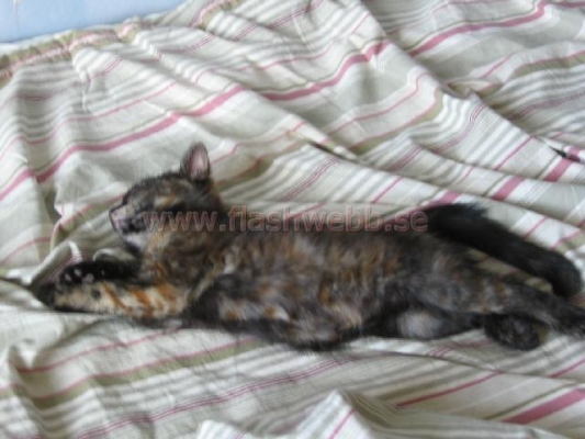 Wilma
