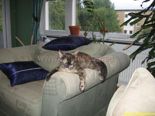 Wilma
