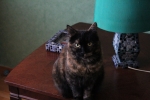 20101127_027.JPG