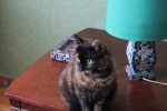 20101127_028.JPG