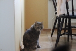 20101127_034.JPG