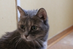 20101127_035.JPG